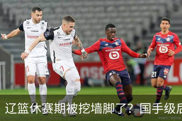 辽篮休赛期被挖墙脚了？国手级后卫恐被交易：变相逼着赵继伟走人